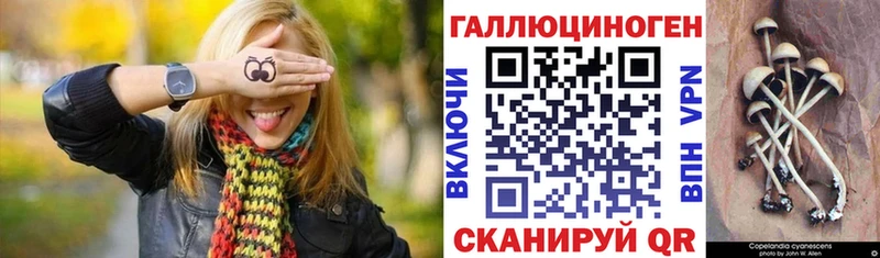 Псилоцибиновые грибы мицелий  Сортавала 